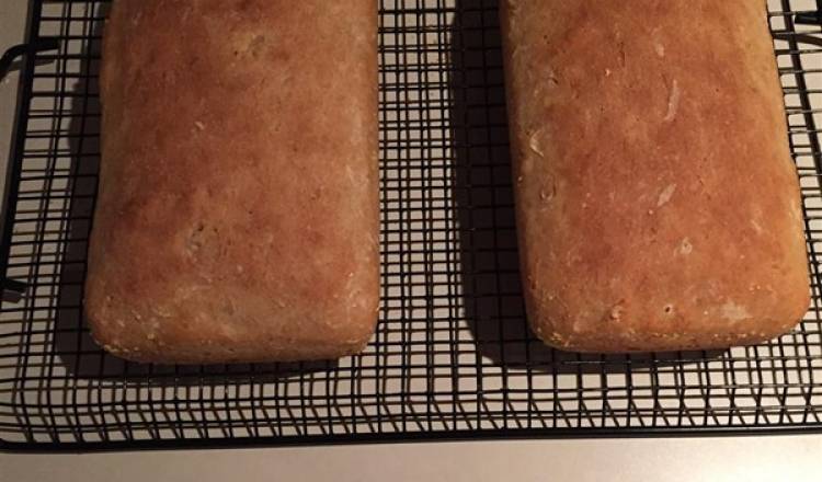 English Muffin Bread