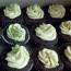 Chocolate Beer Cupcakes With Whiskey Filling And Irish Cream Icing